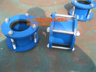 �l(f��)���V����SSJB���wʽ������s���^